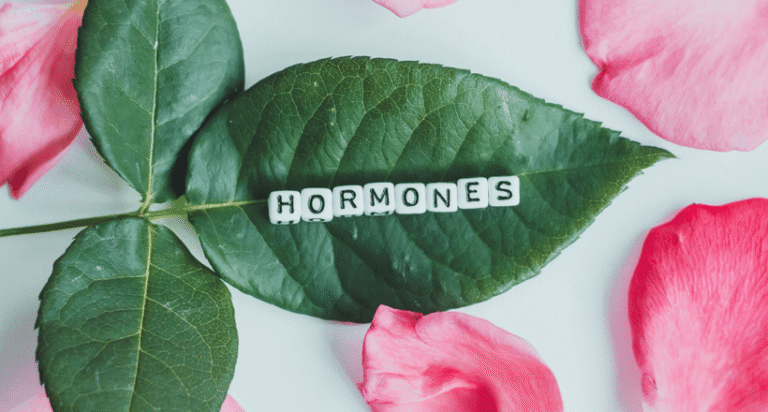 a leaf with the word "hormones" spelled at in small blocks.